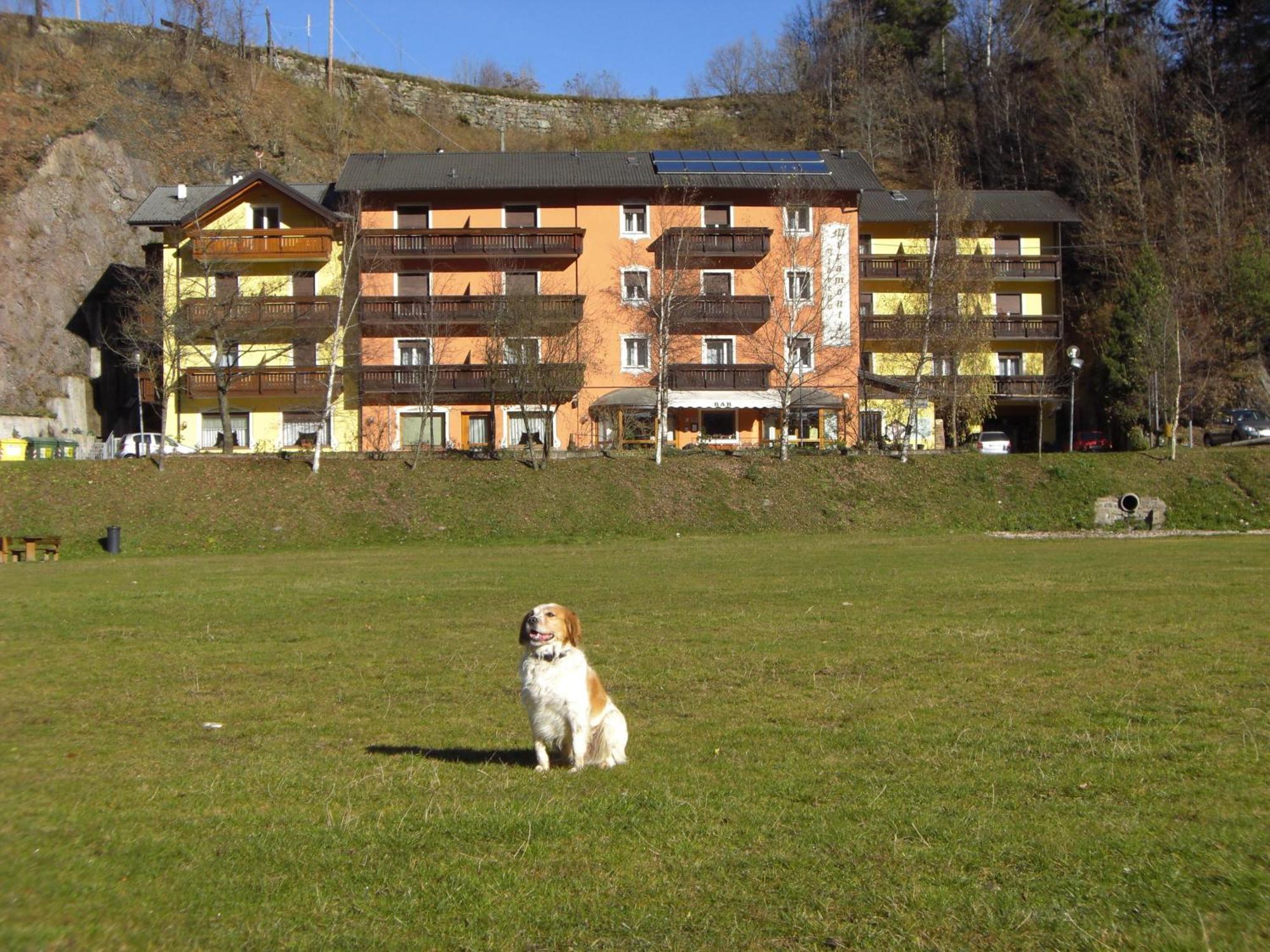 Hotel Miramonti Bedollo Εξωτερικό φωτογραφία